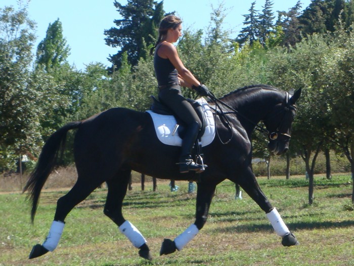 Photo de profil de selleallemande