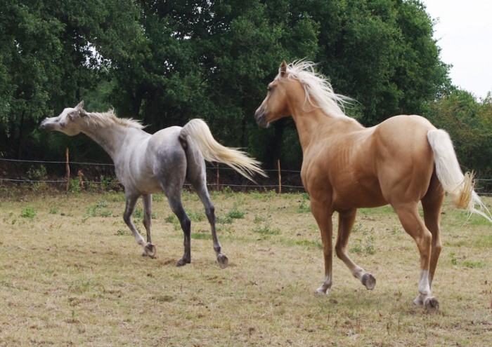 Photo de profil de partenaire.lr