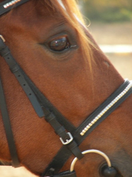 Photo de profil de zaza.b