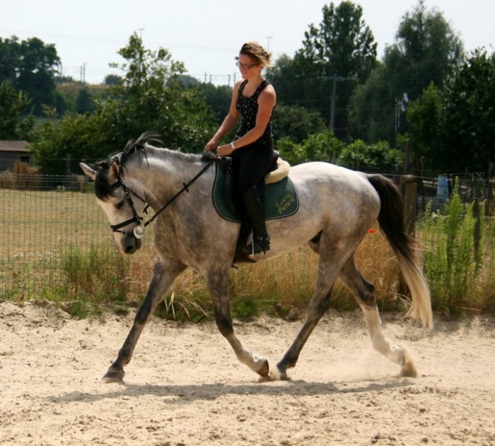 Photo de profil de miss-equitation