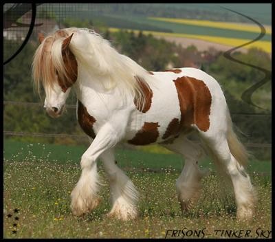 Photo de profil de nenes02