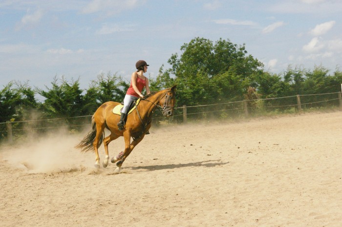 Photo de profil de inuiiro