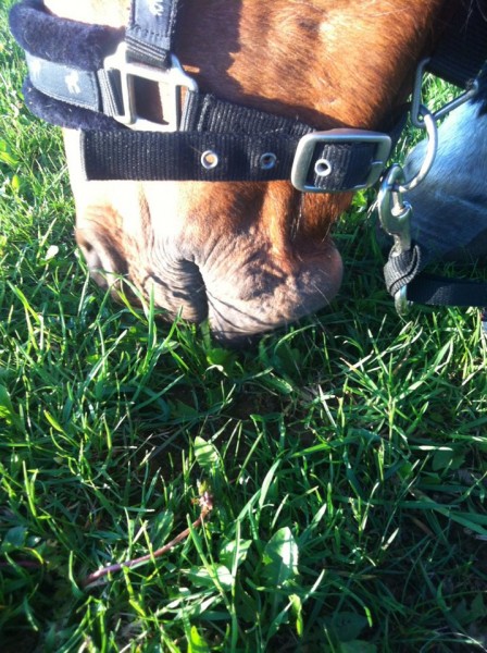 Photo de profil de luna57