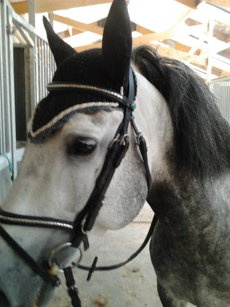 Photo de profil de evelynenina