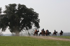 Photo de profil de chpibrac