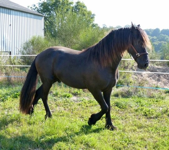 Photo de profil de hades89