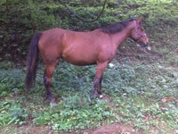 Photo de profil de vickyme