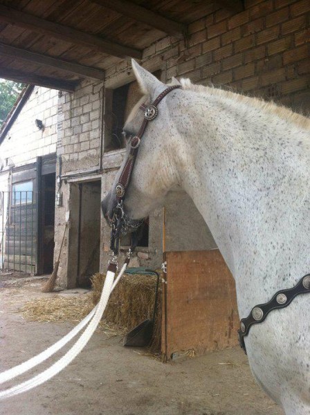 Photo de profil de nala74140