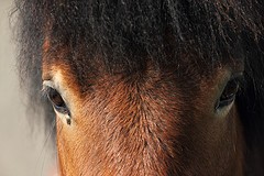 Photo de profil de roxyy