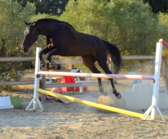 Photo de profil de kimberley.girl