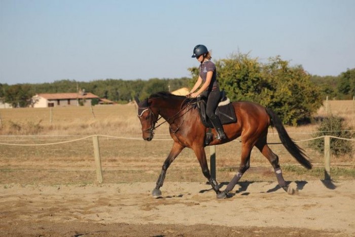 Photo de profil de liison