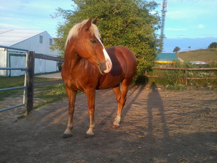 Photo de profil de retishia