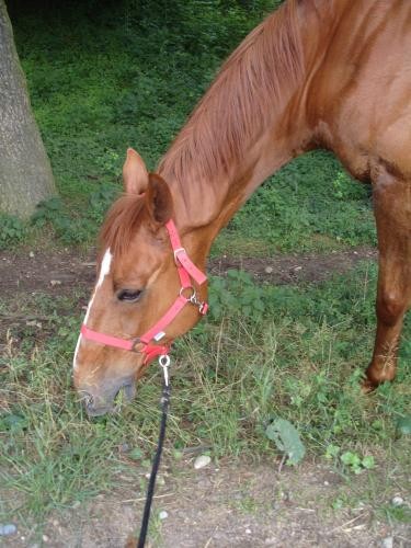 Photo de profil de kahna