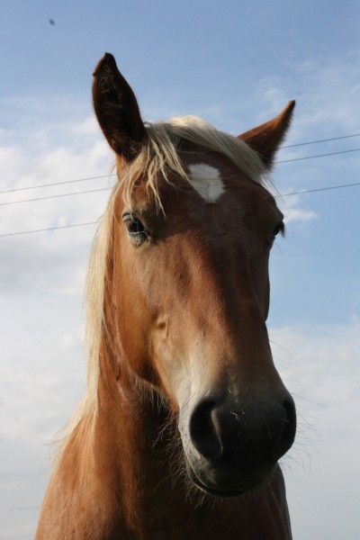Photo de profil de bamby73