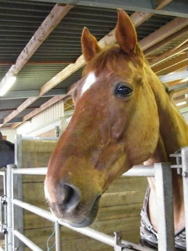 Photo de profil de jaguar22