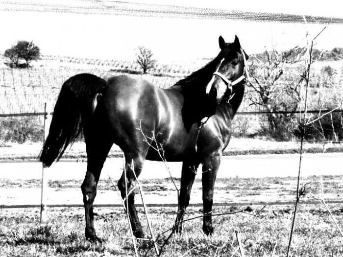 Photo de profil de alexine