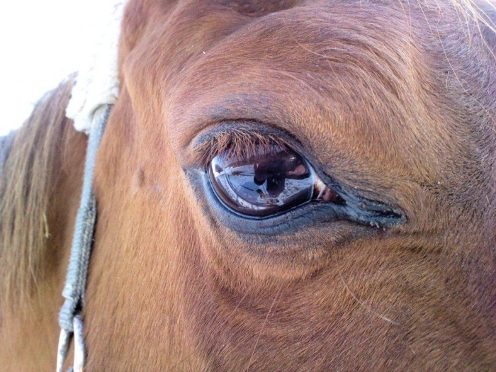 Photo de profil de marousia