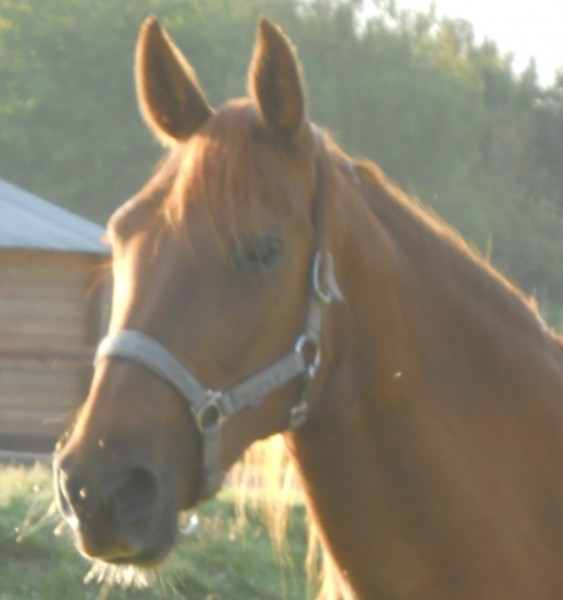 Photo de profil de marieetjerome