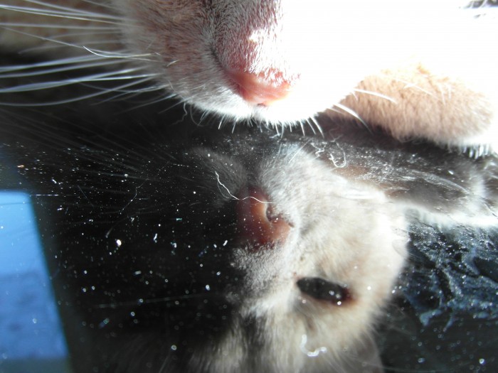 Photo de profil de oceane353