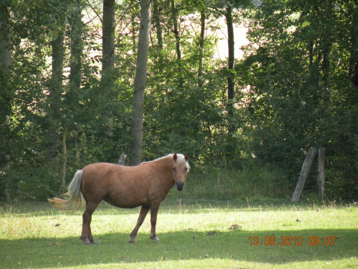 Photo de profil de sinoise