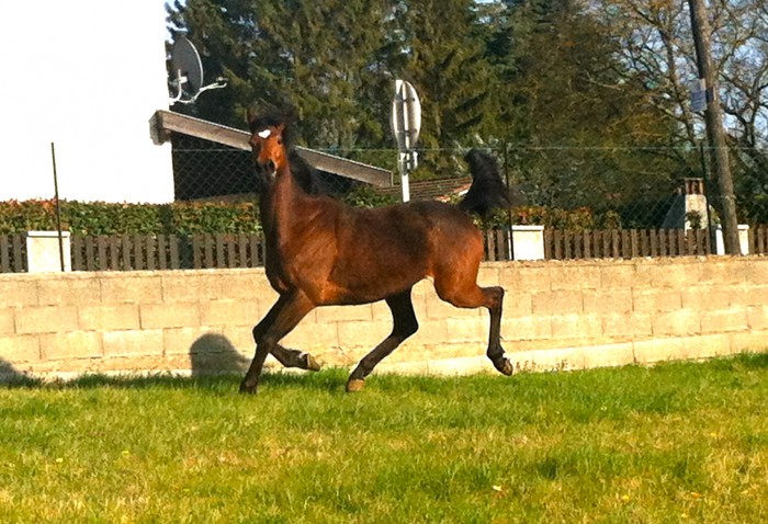 Photo de profil de lapeche
