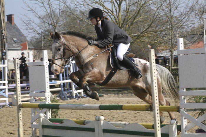 Photo de profil de yion