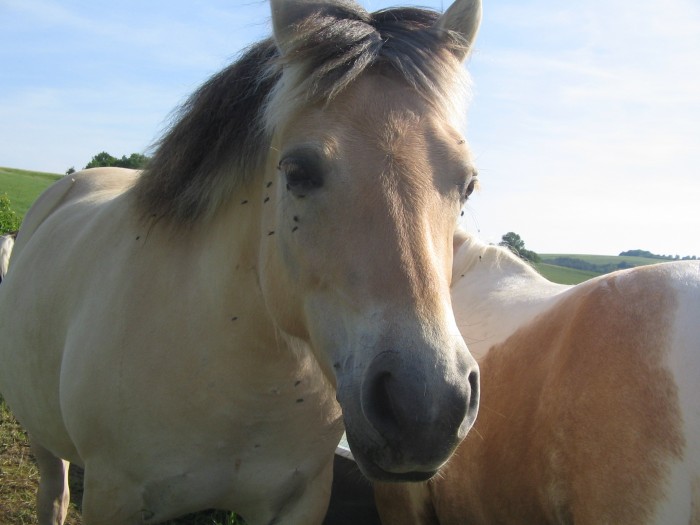 Photo de profil de cookie10