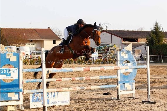 Photo de profil de williamroux