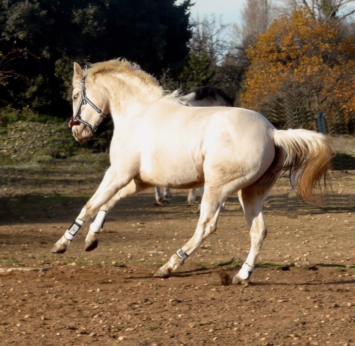 Photo de profil de nahdrien