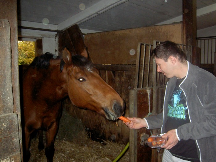 Photo de profil de chevalgeneve