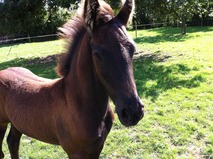 Photo de profil de carinettecador