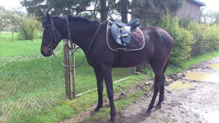 Photo de profil de azalee57