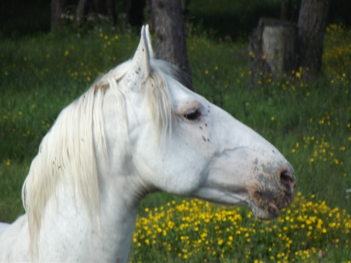 Photo de profil de geronimo07ge