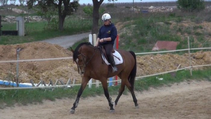 Photo de profil de sisifofo