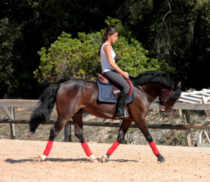 Photo de profil de camille.b