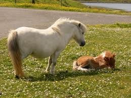 Photo de profil de camillechenille