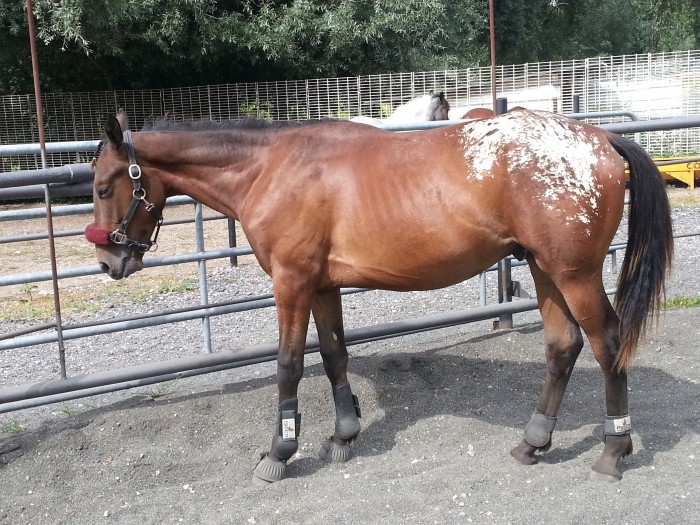 Photo de profil de castana77