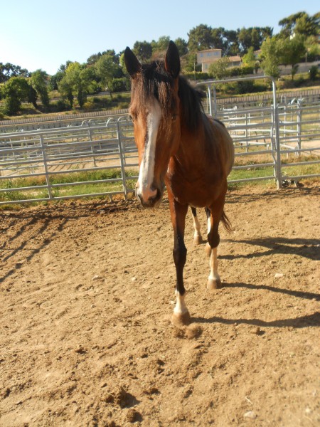 Photo de profil de maevabonnardel