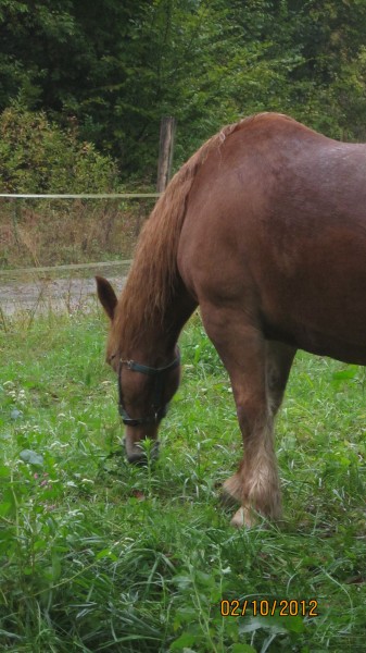 Photo de profil de kaouette025