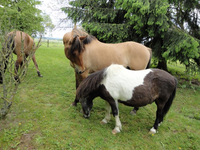 Photo de profil de soso57