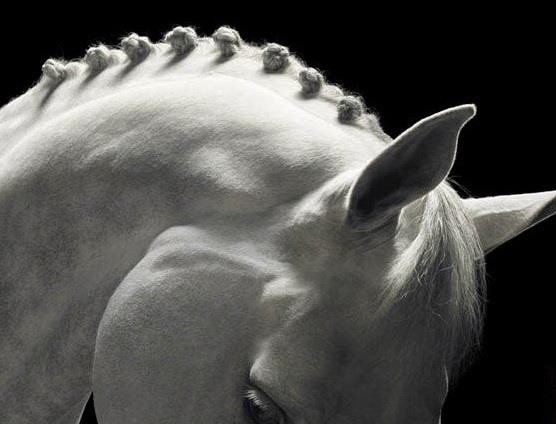 Photo de profil de gagelle