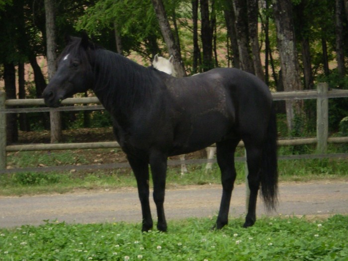 Photo de profil de smartdu47