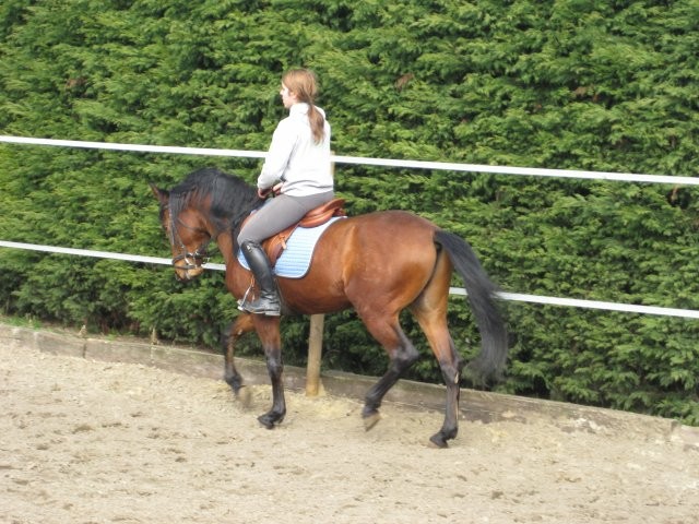 Photo de profil de bibo1997