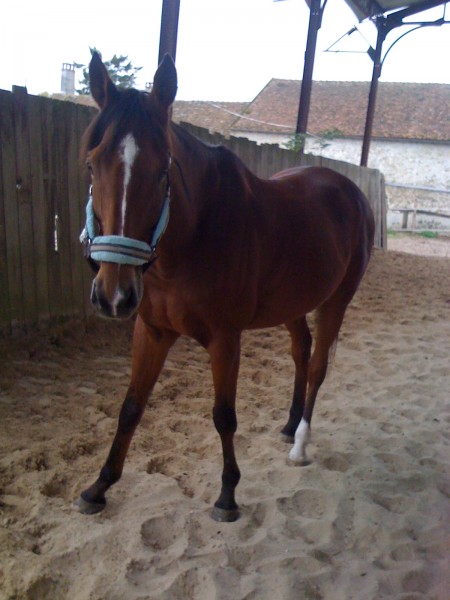 Photo de profil de lucieholcha