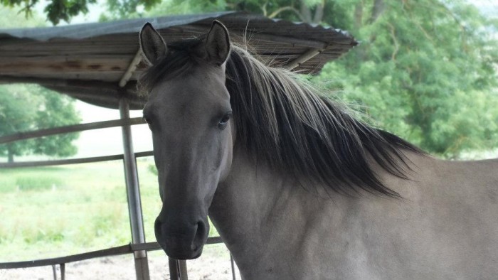 Photo de profil de reinetta