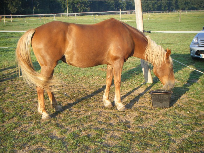 Photo de profil de fauvettebahia