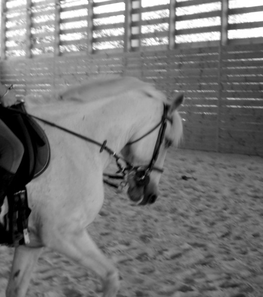 Photo de profil de calineka