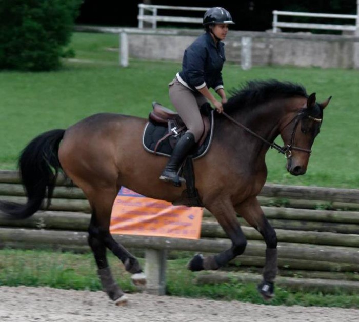 Photo de profil de 3lo0