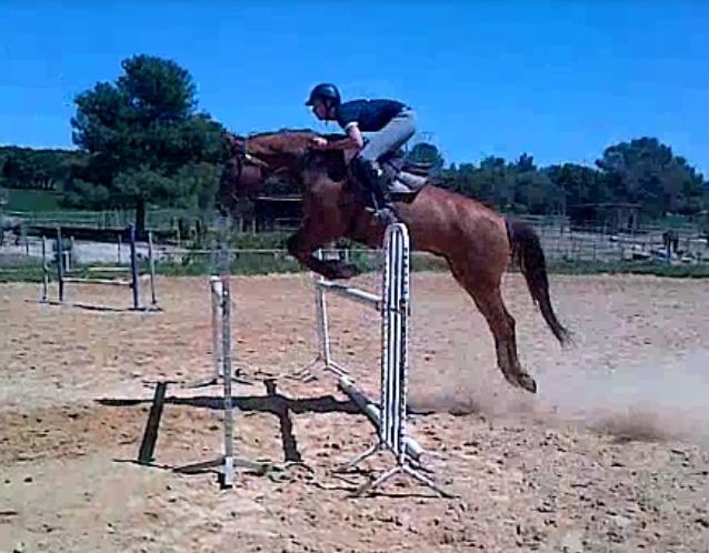 Photo de profil de saphirlucenais