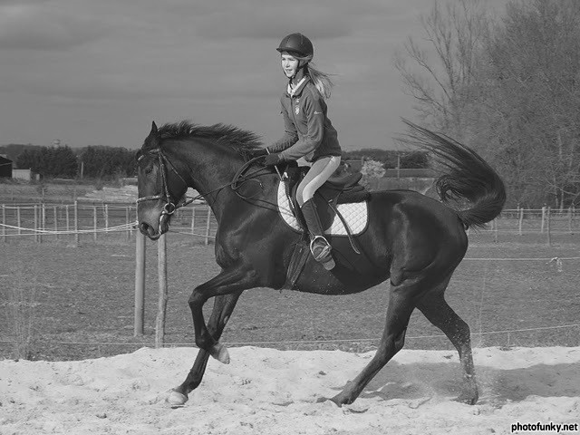 Photo de profil de marrine